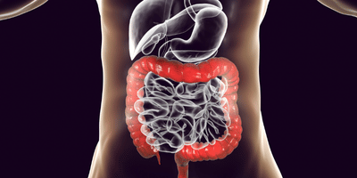 Gut Health