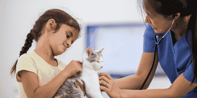 Pet Care and Psychology Diploma